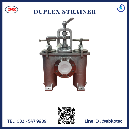 duplex-strainer