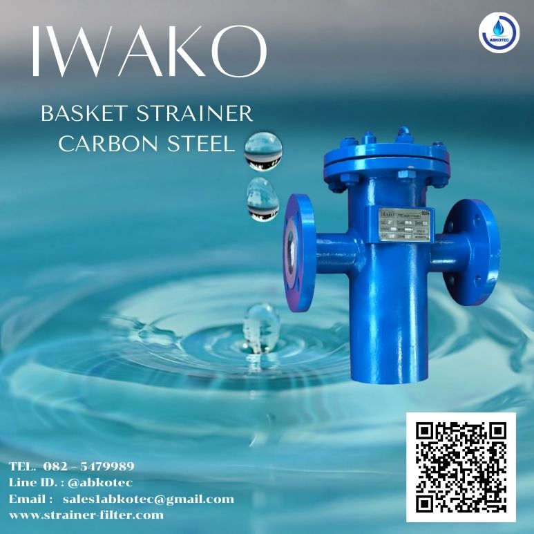 basket strainer carbon steel
