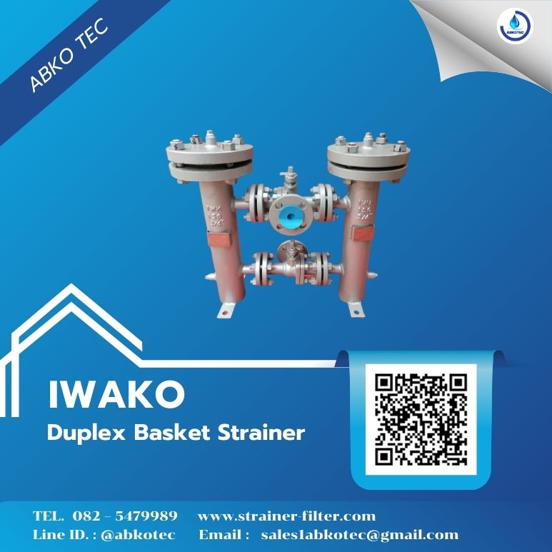 duplex strainer manufacturers
