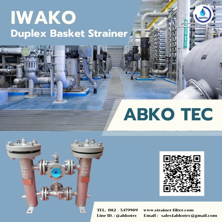 what does a duplex strainer do