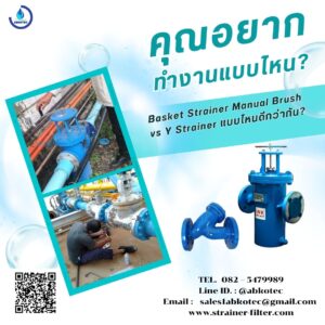 basket strainer manual brush vs y strainer