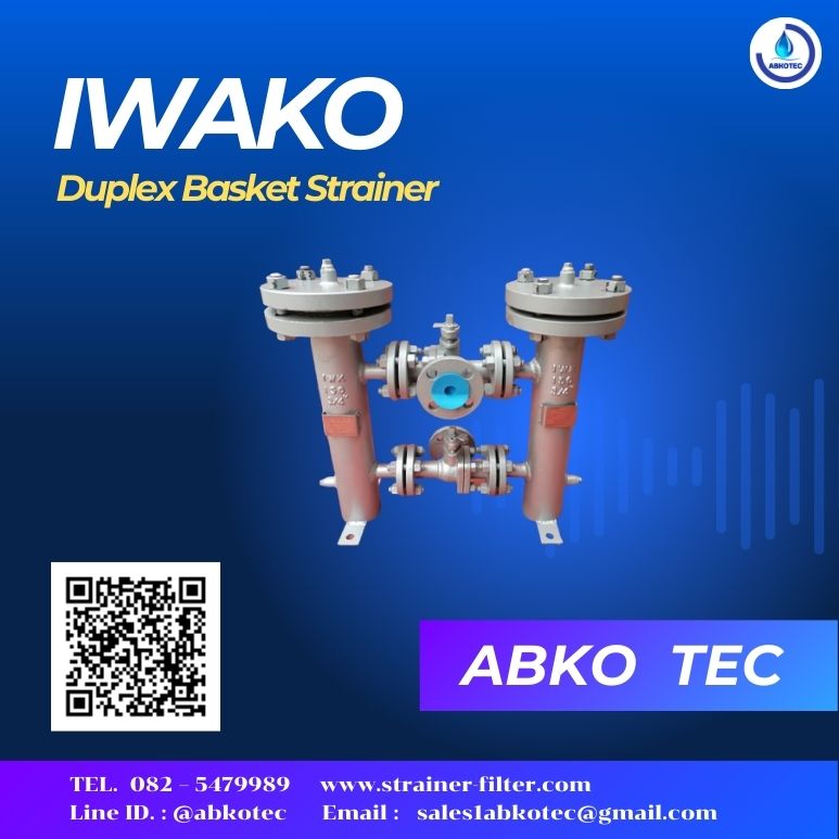 duplex strainer manufacturer