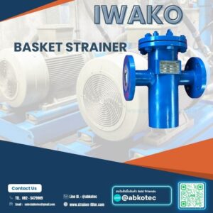 what is the primary function of a basket strainer