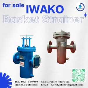 boiler water feed strainer